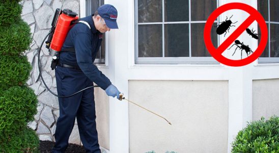 Saraykent Gümüşkurt İlaçlama böcek ilaçlama ve haşere kontrolü — ilaclama-tr.com